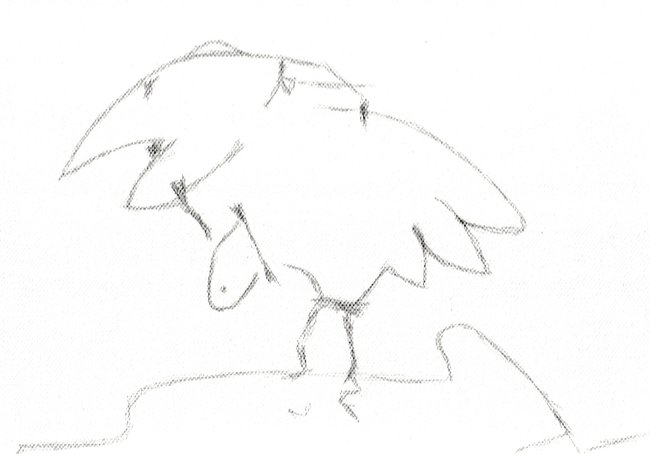 ../previews/017-20240725144907_001 (1).jpg.medium.jpeg