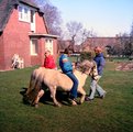 thumbnails/027-DSC02008.JPG.small.jpeg